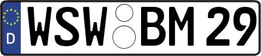 WSW-BM29