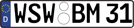 WSW-BM31