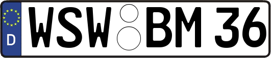 WSW-BM36
