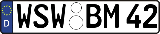 WSW-BM42