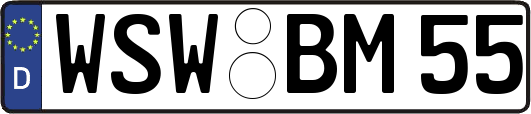 WSW-BM55