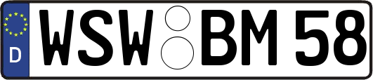 WSW-BM58