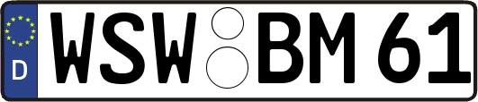 WSW-BM61