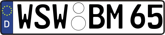 WSW-BM65
