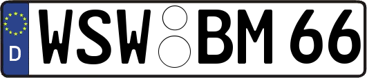 WSW-BM66