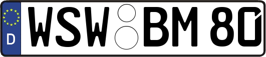 WSW-BM80
