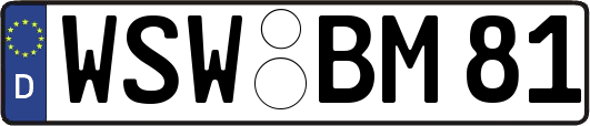 WSW-BM81