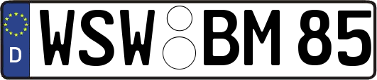 WSW-BM85