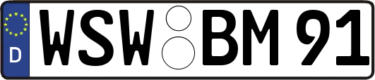 WSW-BM91