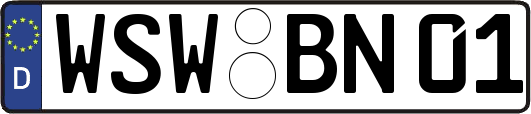 WSW-BN01