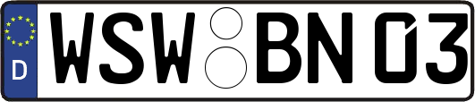 WSW-BN03