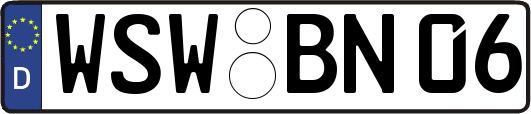 WSW-BN06