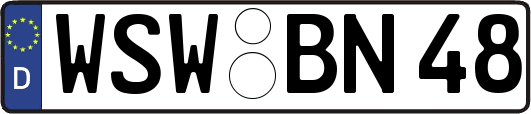 WSW-BN48