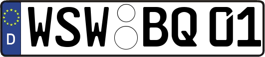 WSW-BQ01