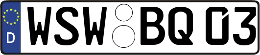 WSW-BQ03