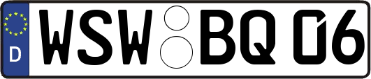 WSW-BQ06