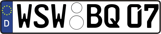 WSW-BQ07