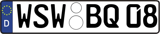 WSW-BQ08