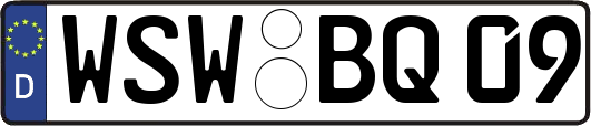 WSW-BQ09