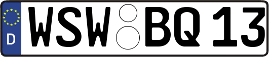WSW-BQ13