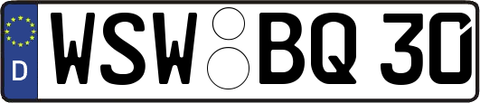 WSW-BQ30