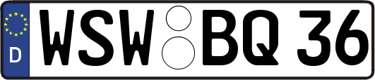 WSW-BQ36