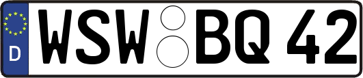 WSW-BQ42