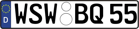 WSW-BQ55