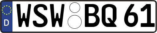 WSW-BQ61