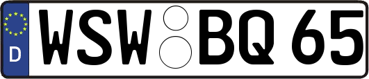 WSW-BQ65