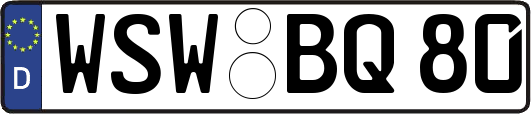 WSW-BQ80