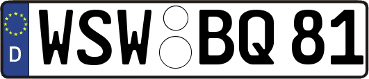 WSW-BQ81