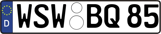 WSW-BQ85