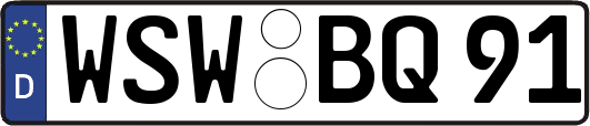 WSW-BQ91