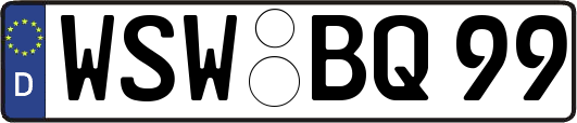 WSW-BQ99
