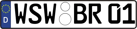 WSW-BR01