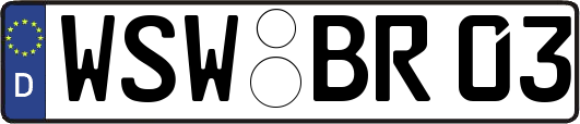 WSW-BR03