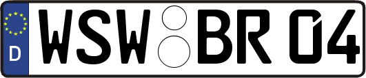 WSW-BR04
