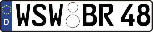 WSW-BR48