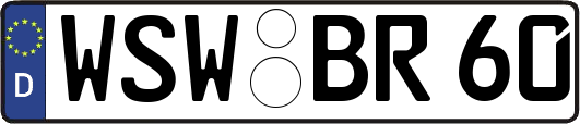 WSW-BR60
