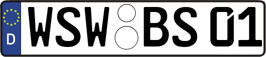 WSW-BS01