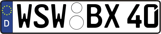 WSW-BX40