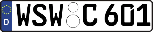 WSW-C601