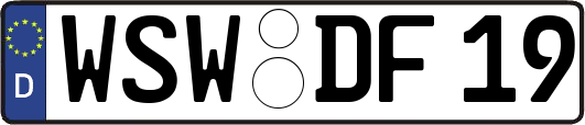 WSW-DF19