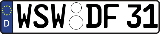 WSW-DF31