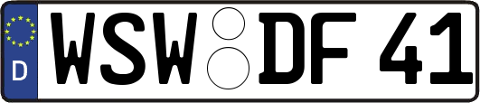 WSW-DF41