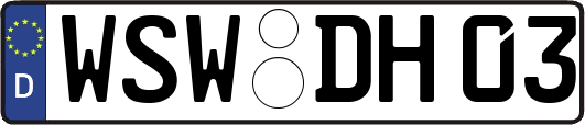 WSW-DH03