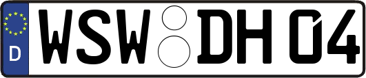 WSW-DH04