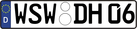 WSW-DH06
