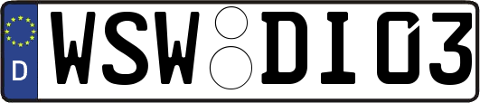 WSW-DI03